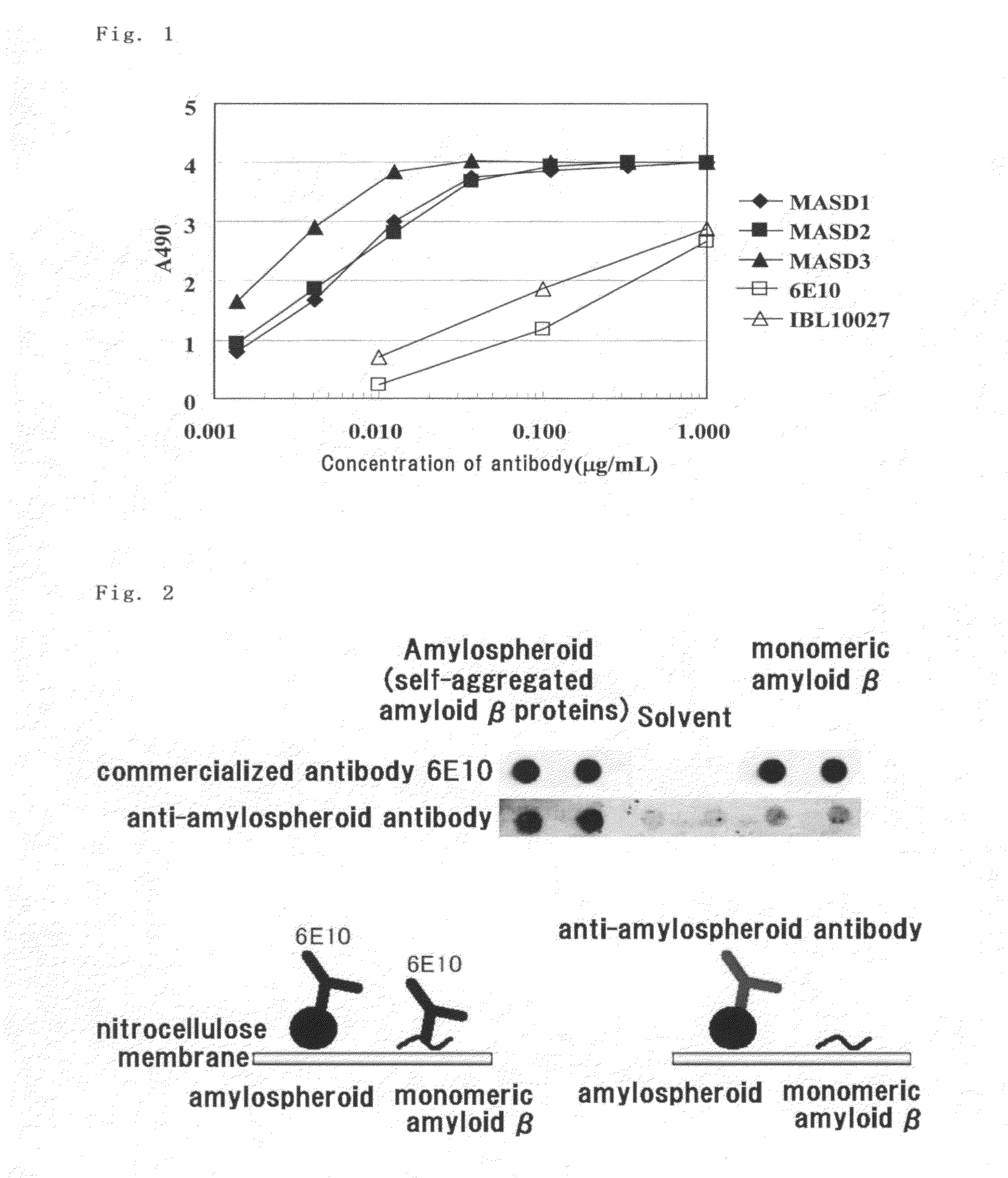 Antibody and utilization of the same