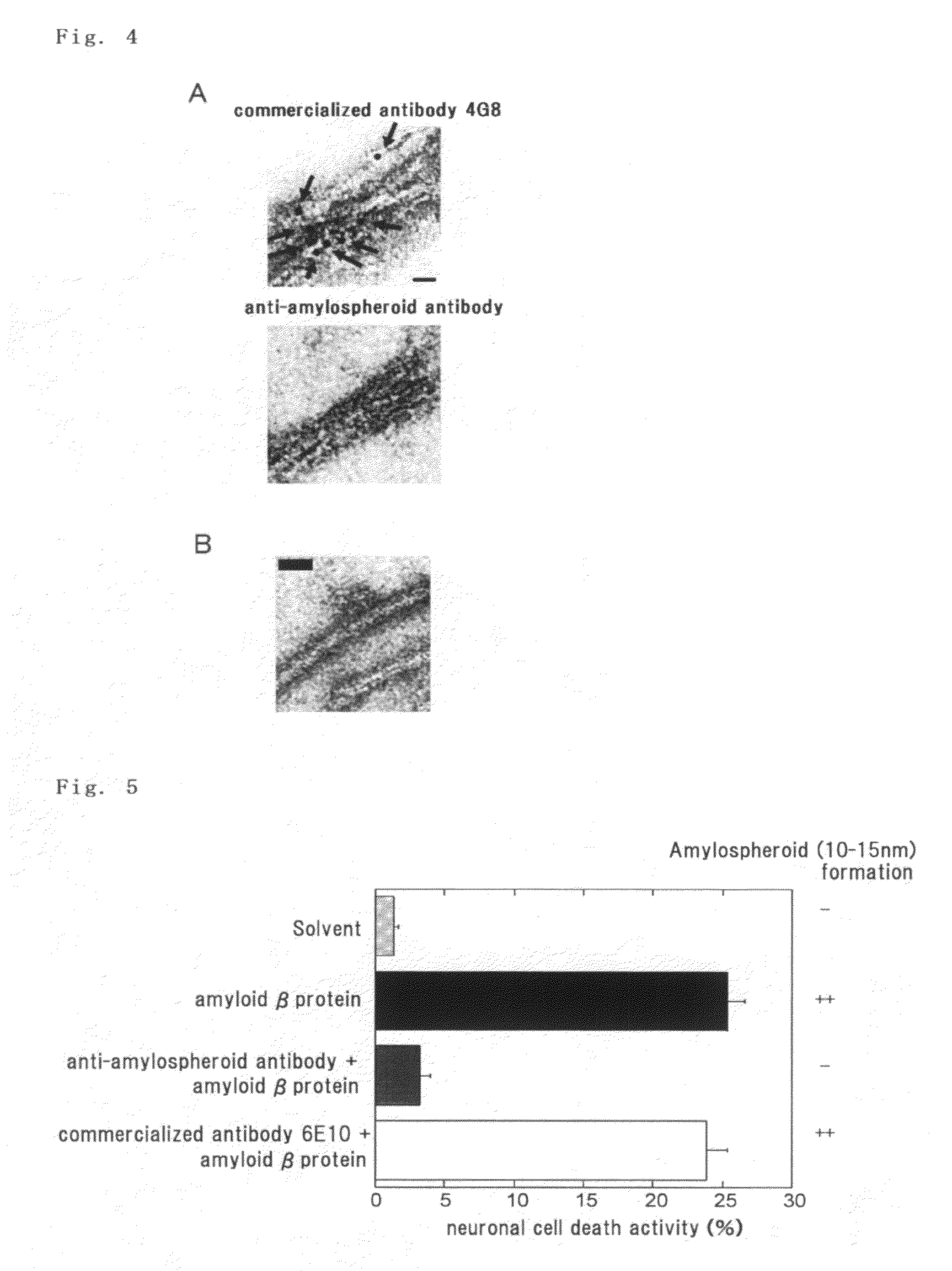 Antibody and utilization of the same