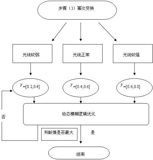 Dynamic Correction Method of Image Light Intensity Based on Environmental Factors