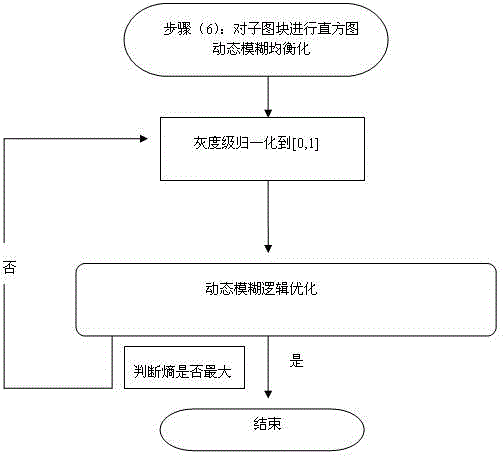 Dynamic Correction Method of Image Light Intensity Based on Environmental Factors