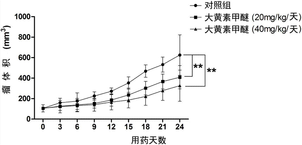 Rheochrysidin and micro-capsule of derivative of rheochrysidin as well as preparation method and application of rheochrysidin