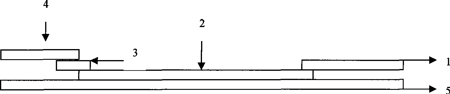 Test paper strip for rapidly detecting swine streptococcicosis type 2 colloidal gold