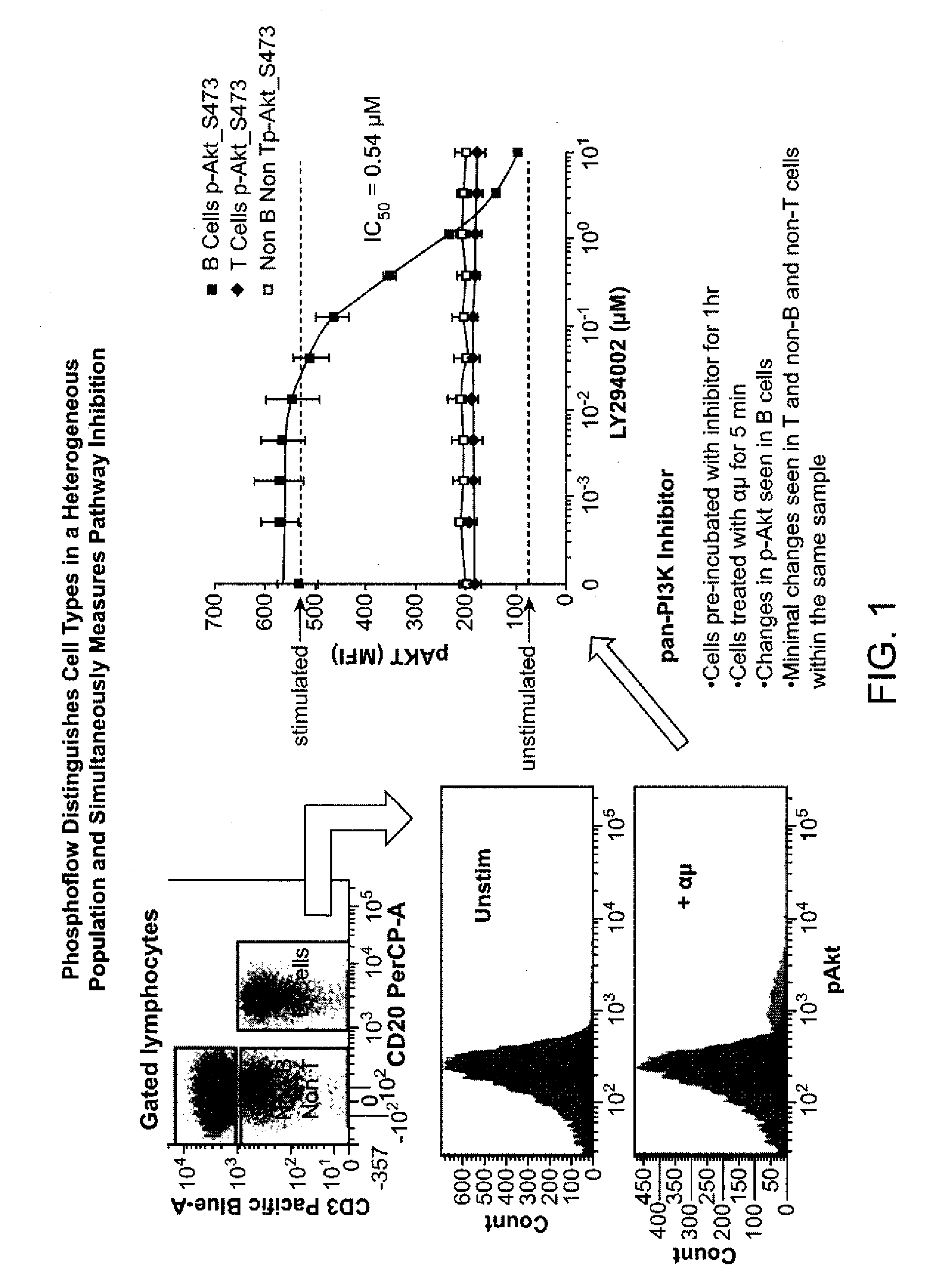 Multiple mechanisms for modulation of jak/stat activity