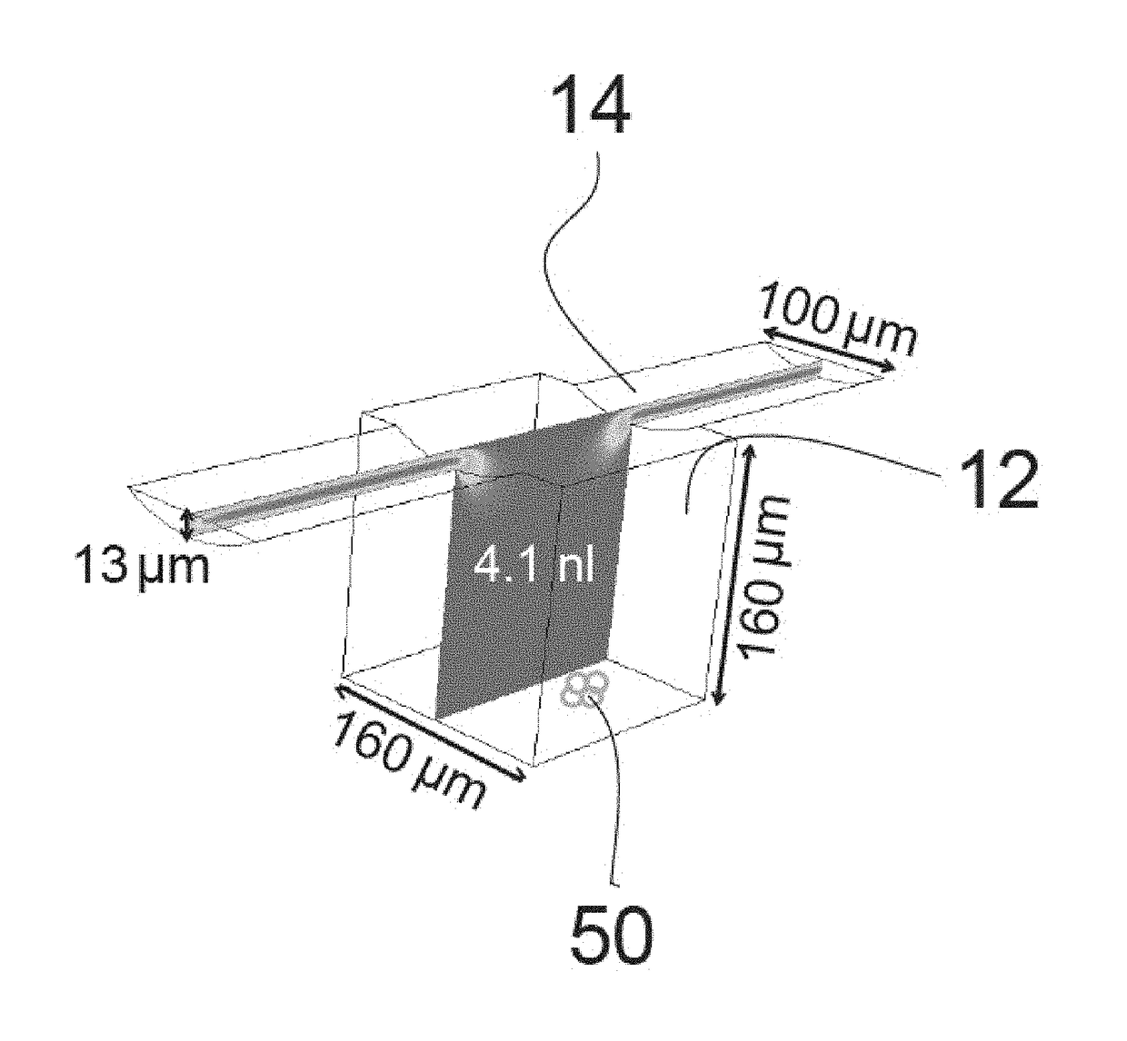 System and method for microfluidic cell culture