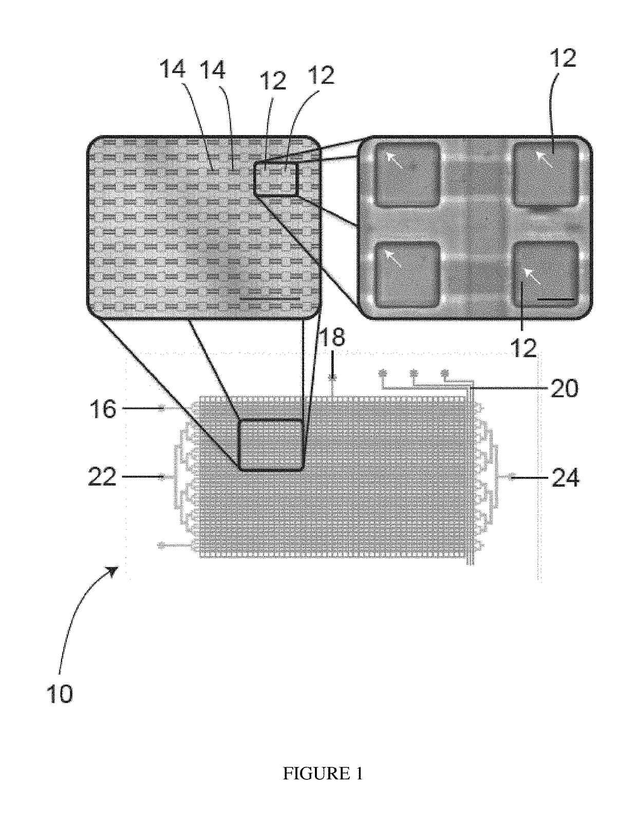 System and method for microfluidic cell culture