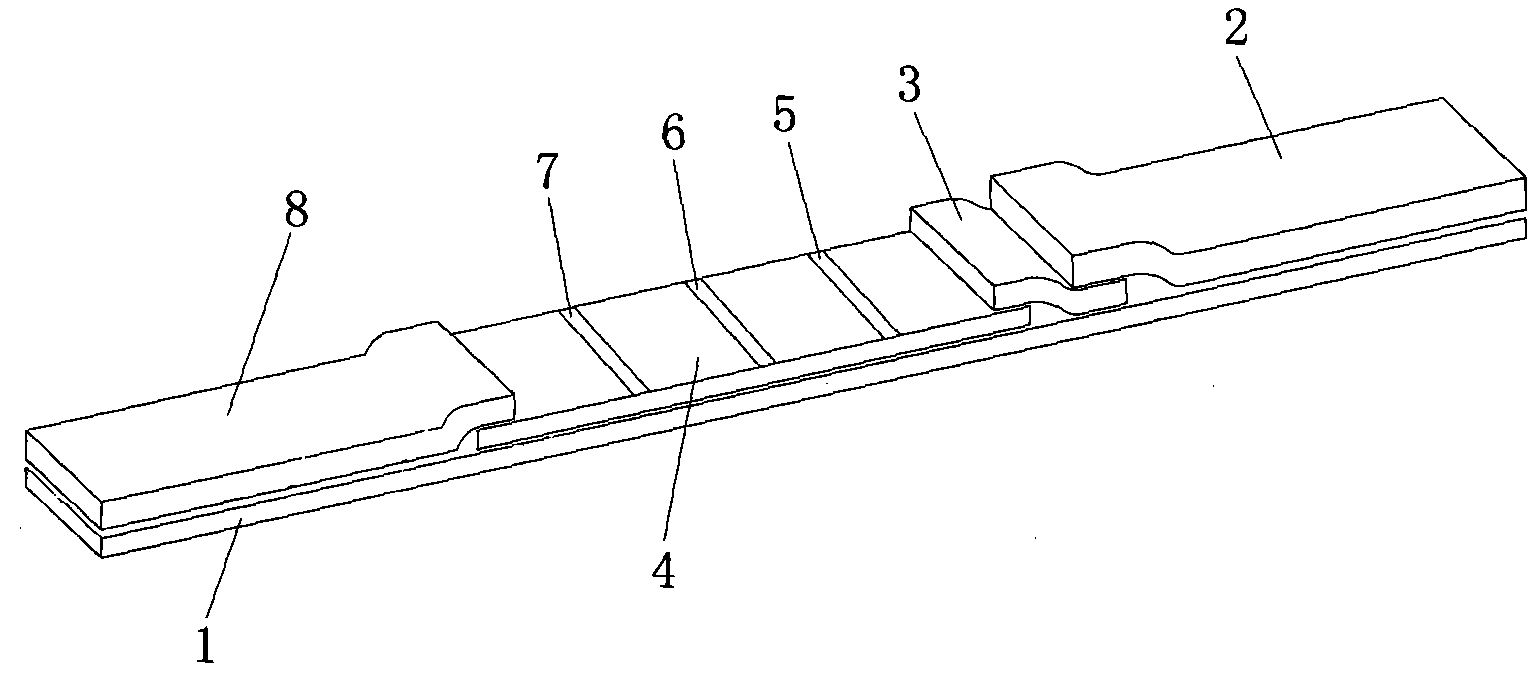 Reagent strip for joint detection of syphilis specific IgM and IgG antibodies and preparation method thereof