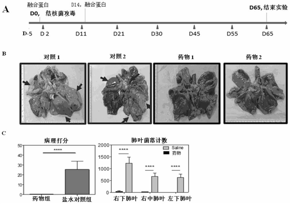 A kind of fusion protein and its use for treating diseases