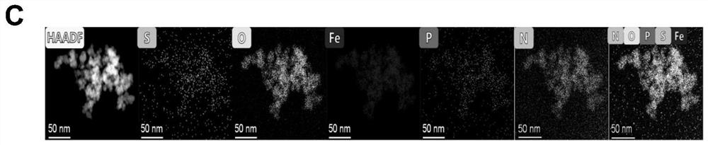 Brain-targeted drug delivery system with ferroptosis and immune activation cascade amplification effect