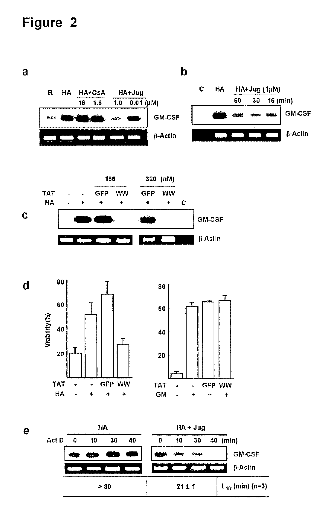 Blockade of Pin1 prevents cytokine production by activated immune cells