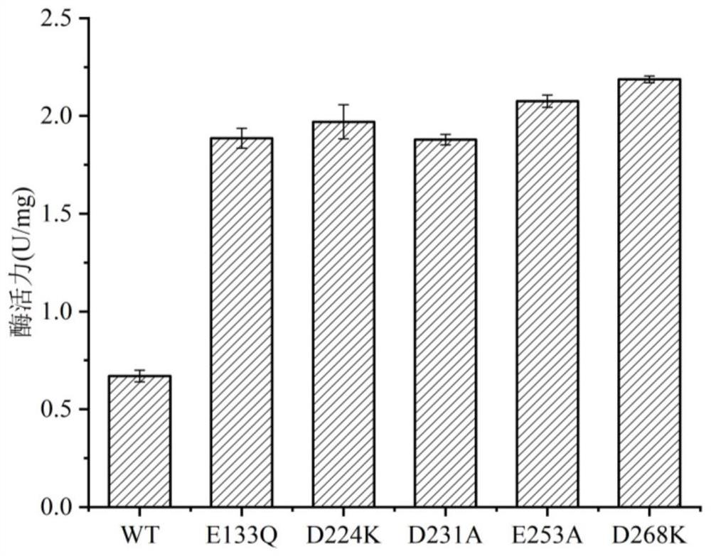 Omega-transaminase mutant and application thereof