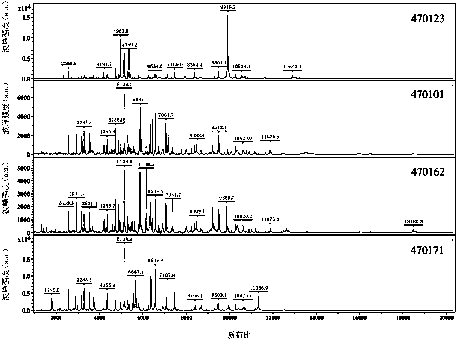 Protein fingerprint atlas-spectrum model of acidovorax avenae subsp. citrulli and applications thereof