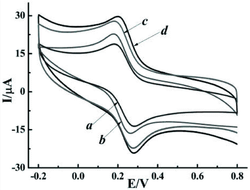 Multi-wall carbon nanotube/poly L-histidine composite material-modified glassy carbon electrode and preparation method thereof