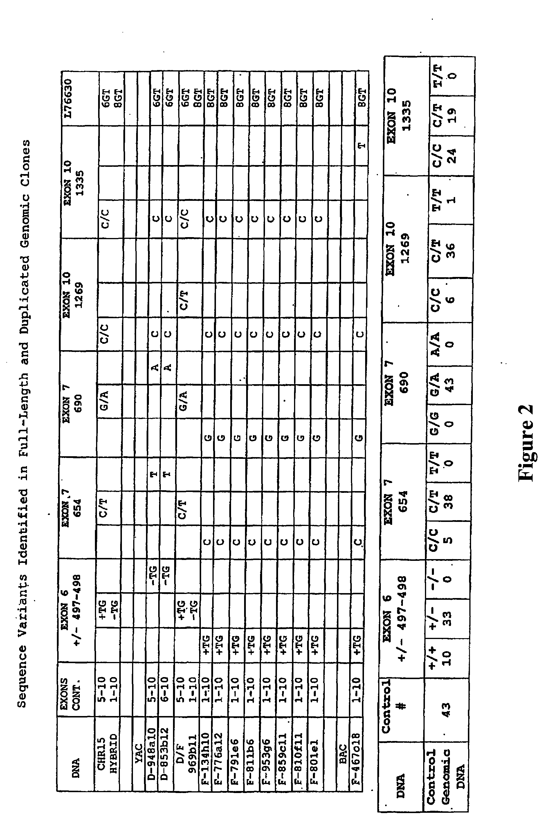 Promoter Variants Of The Alpha-7 Nicotinic Acetylcholine Receptor