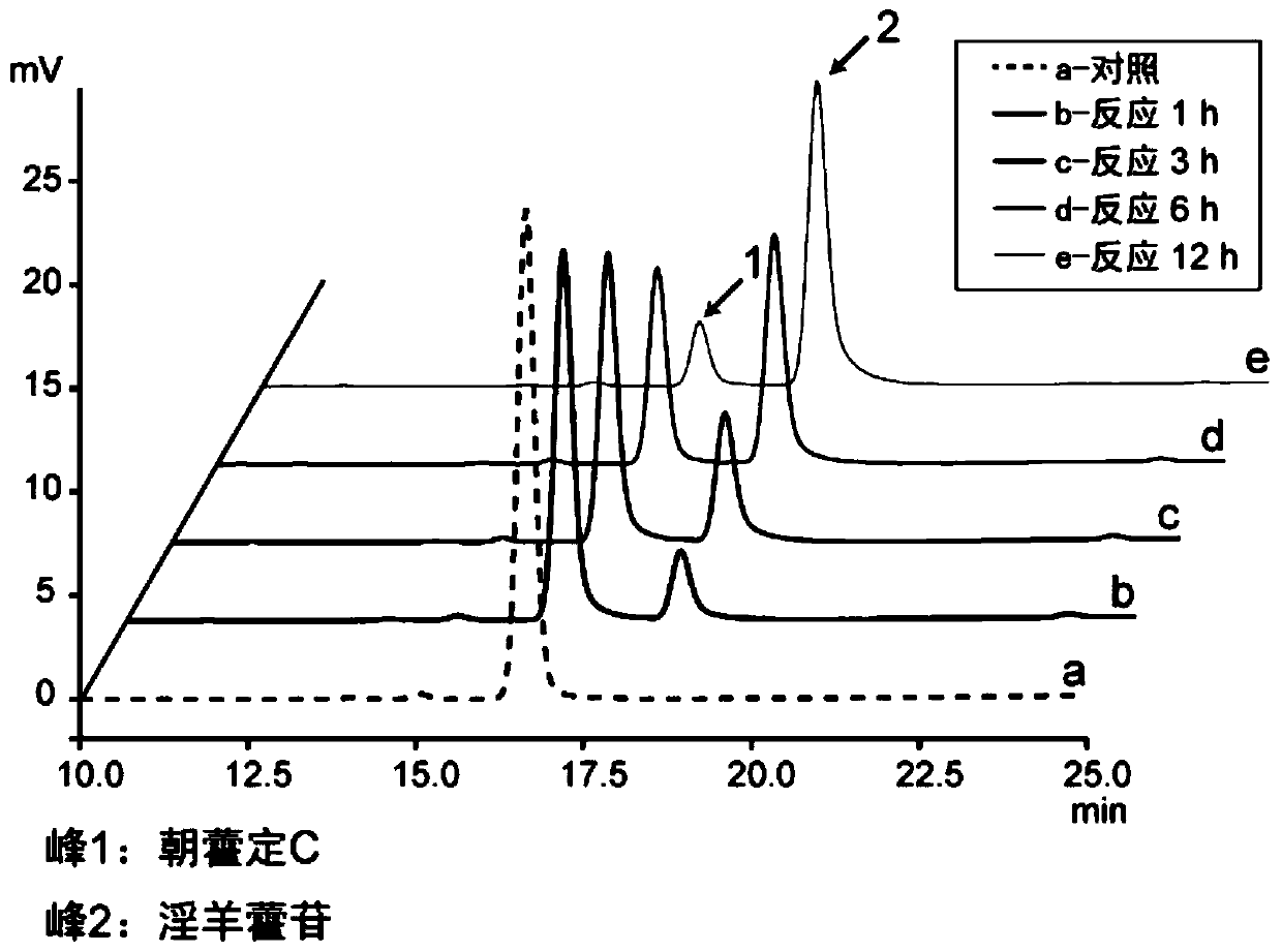 Recombinant escherichia coli expressing alpha-L-rhamnosidase and application of recombinant escherichia coli