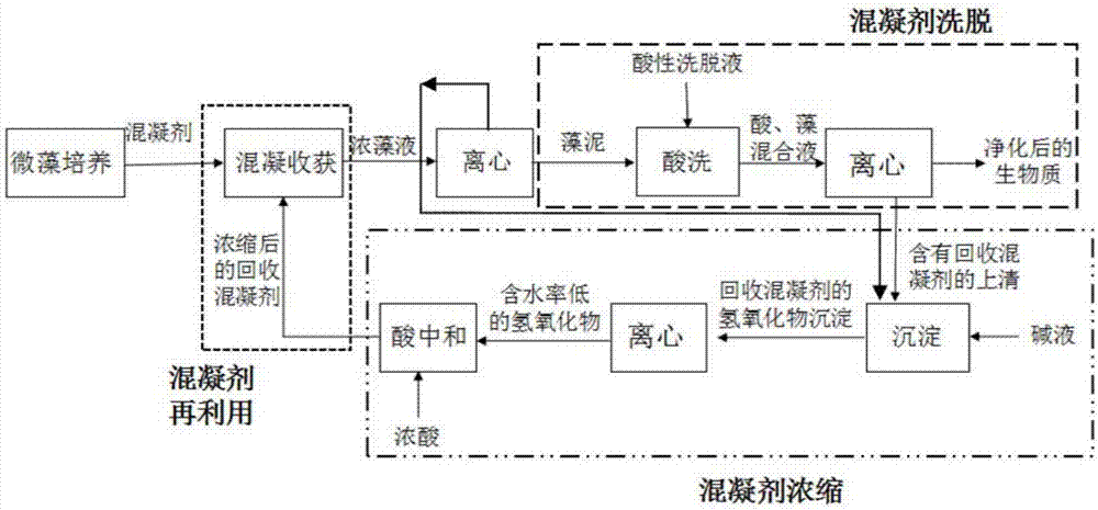 Method for purifying microalgae biomass harvested by coagulation and recycling coagulant