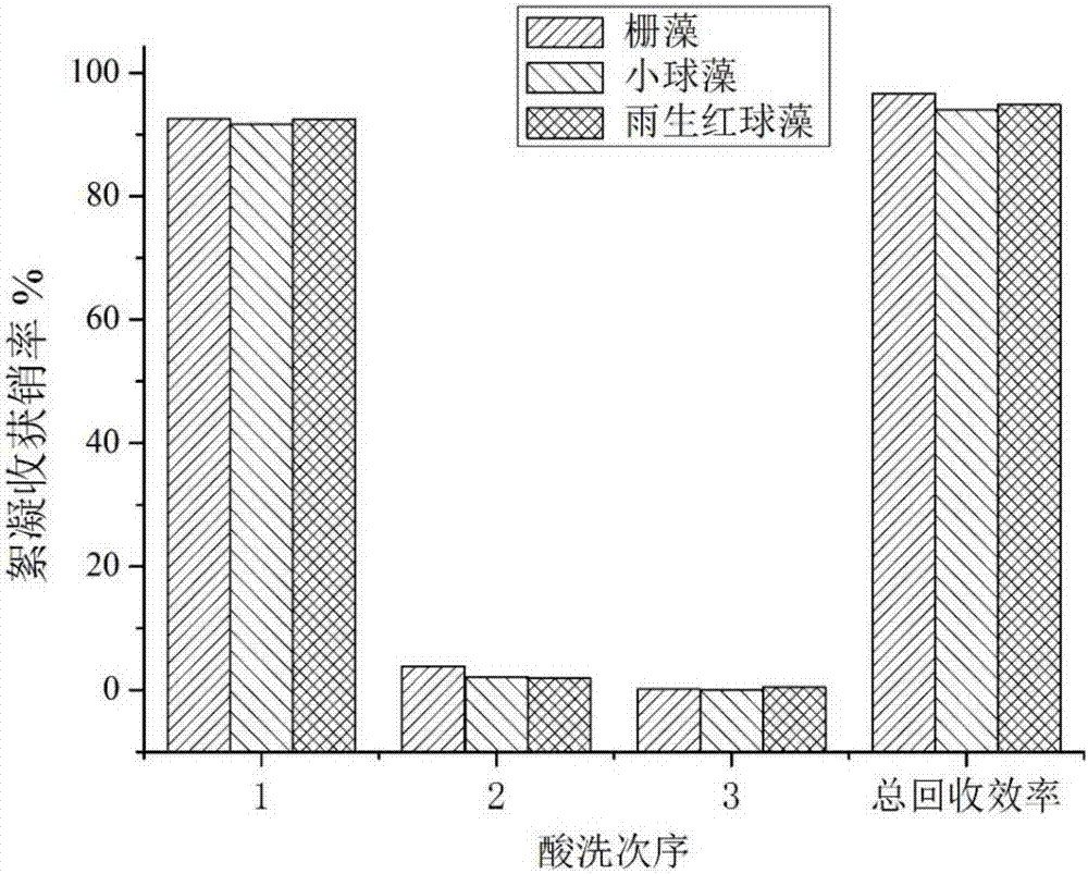 Method for purifying microalgae biomass harvested by coagulation and recycling coagulant