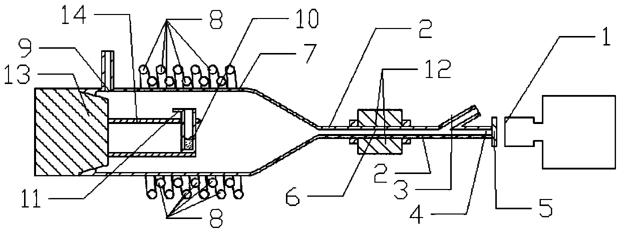 Device and method for detecting soil heavy mental by utilizing electromagnetic heating and plasma spectroscopy