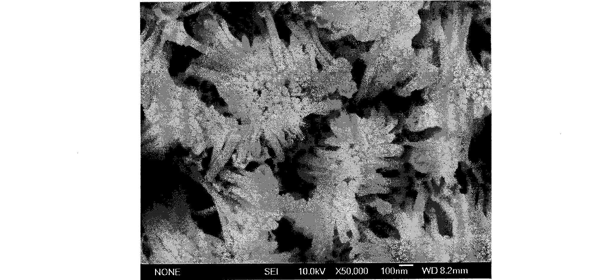 Method for making scanning electron microscope example for assembling nanometer line array in aluminum oxide template