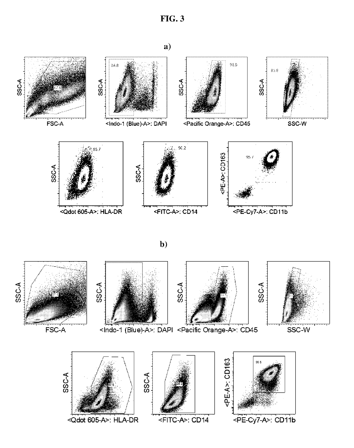 Method of differentiating human pluripotent stem cells into primitive macrophages