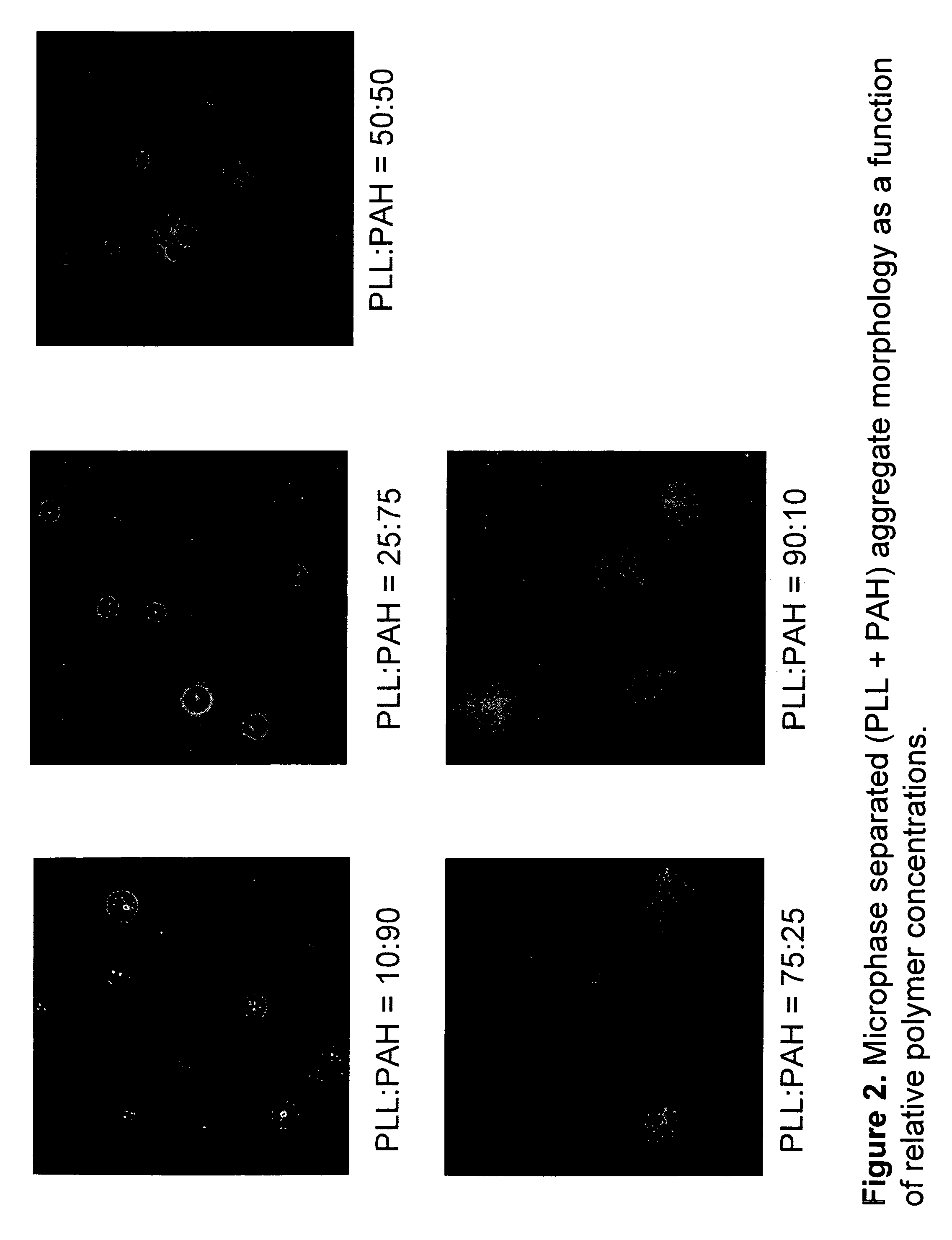 Method to fabricate inhomogeneous particles