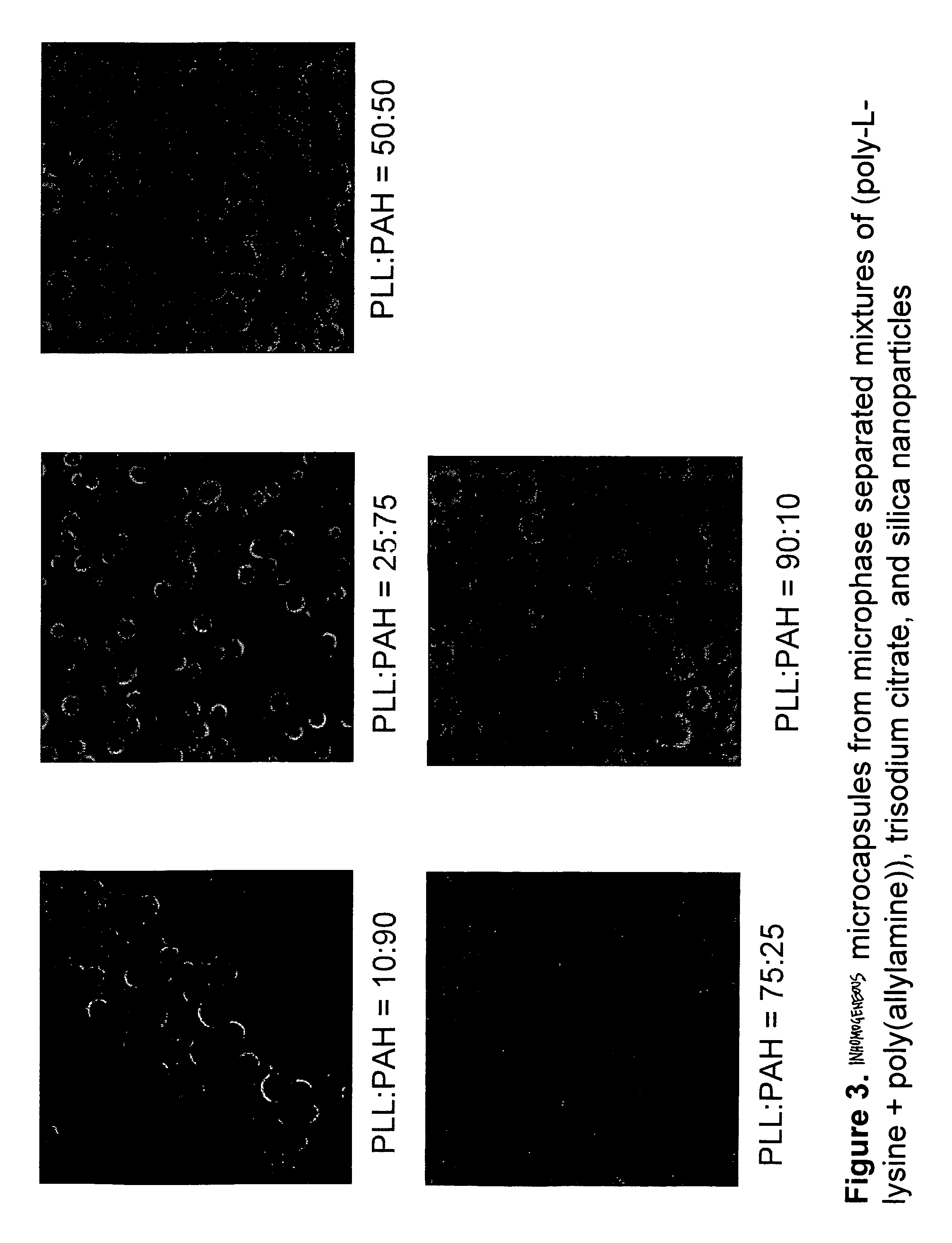 Method to fabricate inhomogeneous particles