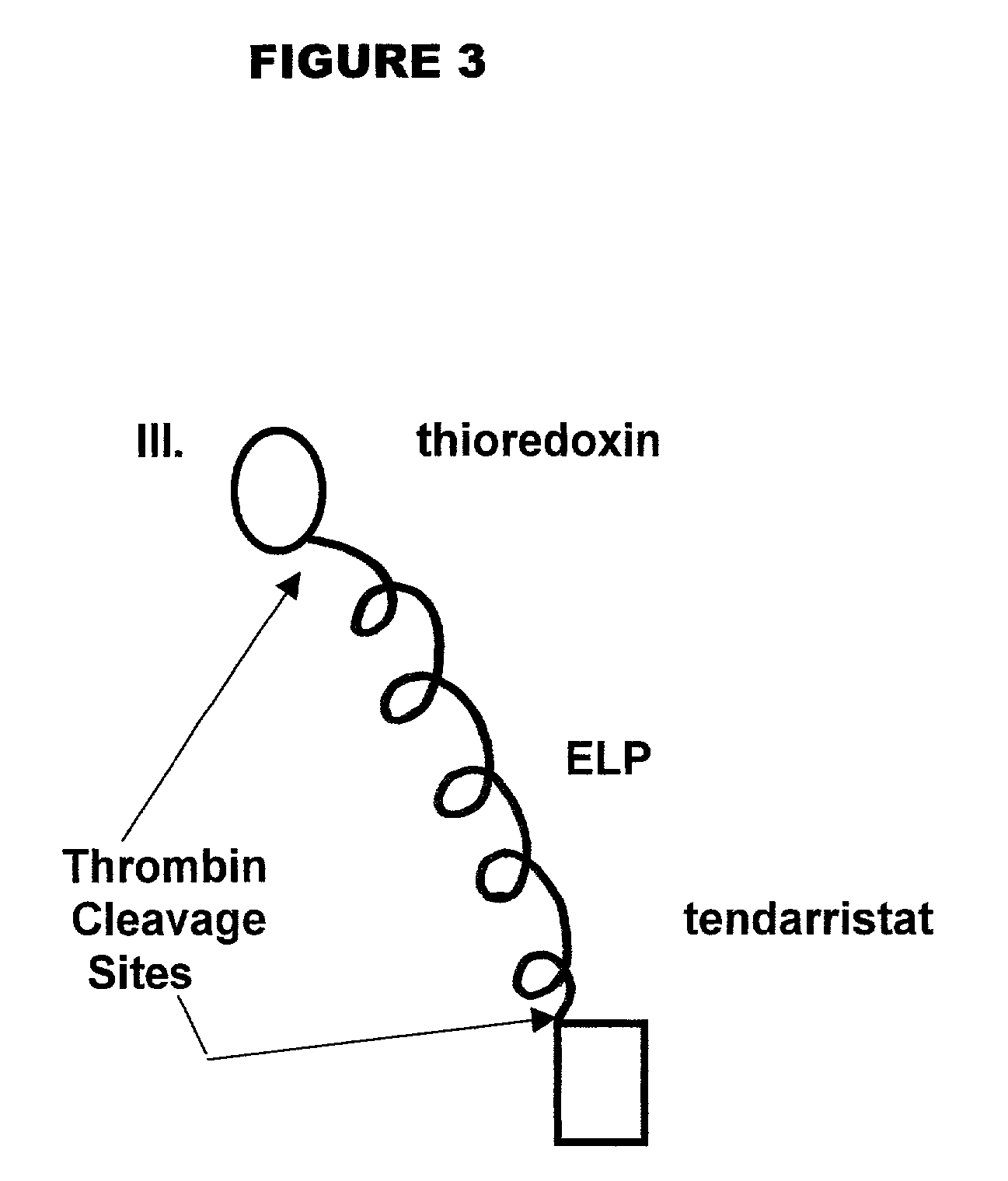 Fusion peptides isolatable by phase transition