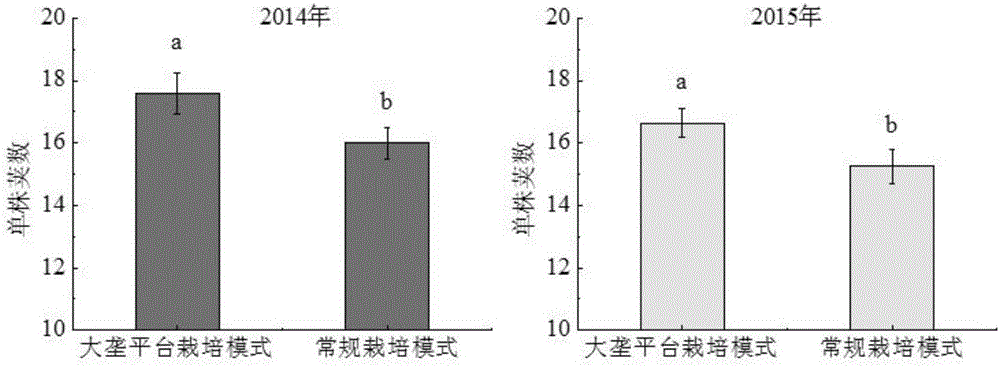 Large-ridge platform kidney bean cultivation method