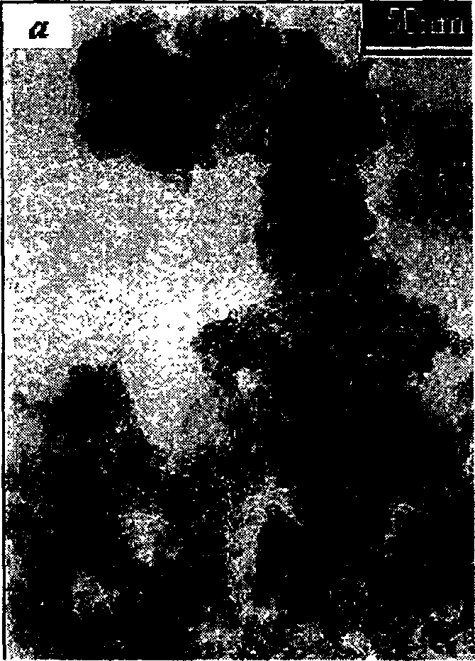 Sulfonic acid functional macromolecular/SiO2 composite nano-particles and process for preparing same