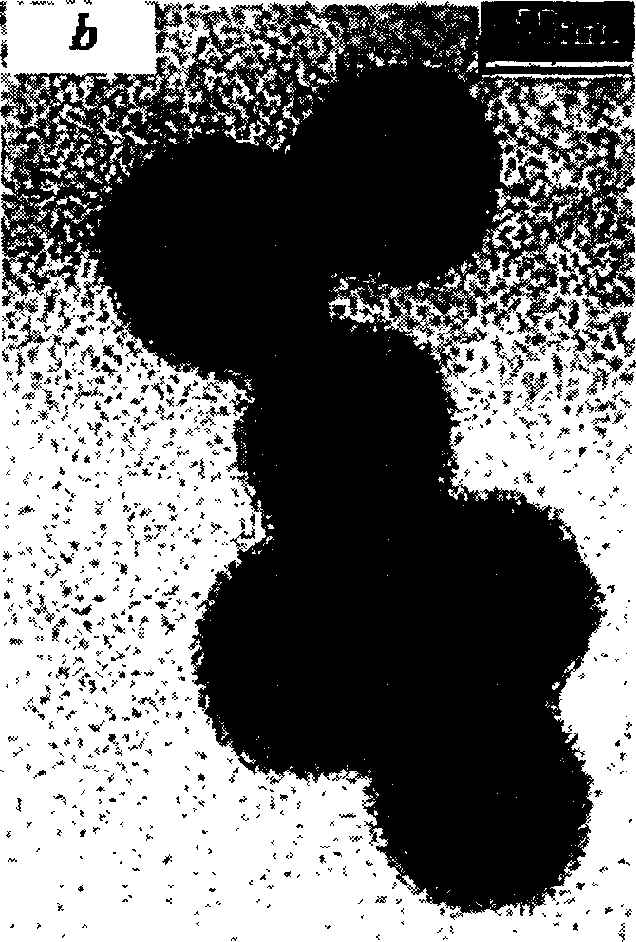 Sulfonic acid functional macromolecular/SiO2 composite nano-particles and process for preparing same