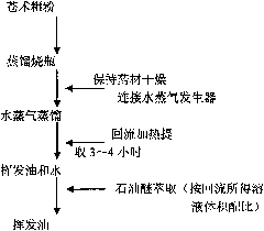 Sterilizing antiviral influenza-preventing spraying agent prepared from traditional Chinese medicine and production method thereof