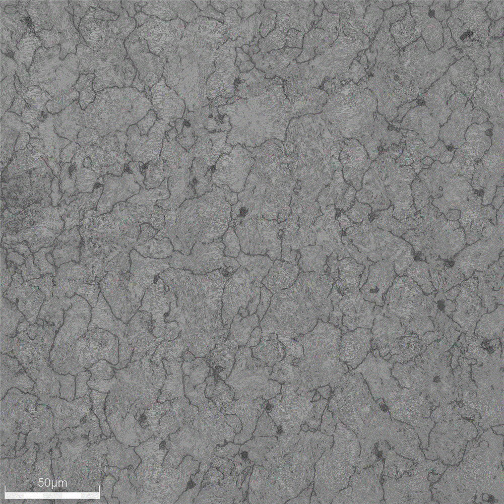 Preparation method for semi-solid state blank of steel