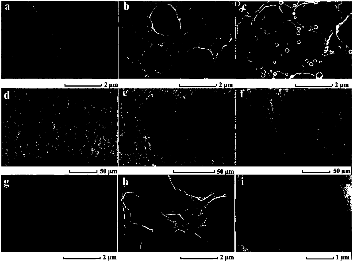 Preparation method and application of GO/PVDF (Graphene Oxide/Polyvinylidene Fluoride) molecularly imprinted composite membrane