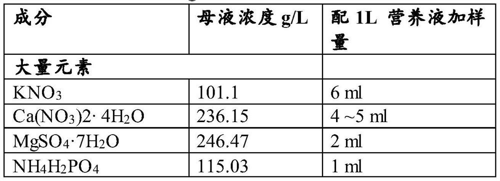 Tissue culture and rapid propagation method for grape rootstocks