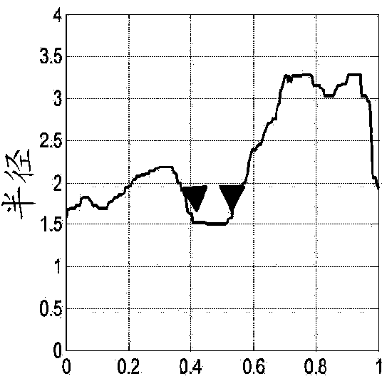 Fast rendering of curved reformation of a 3D tubular structure