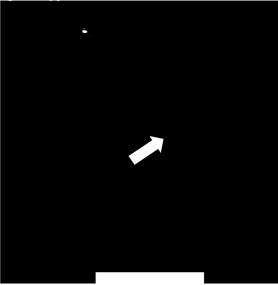 Fast rendering of curved reformation of a 3D tubular structure