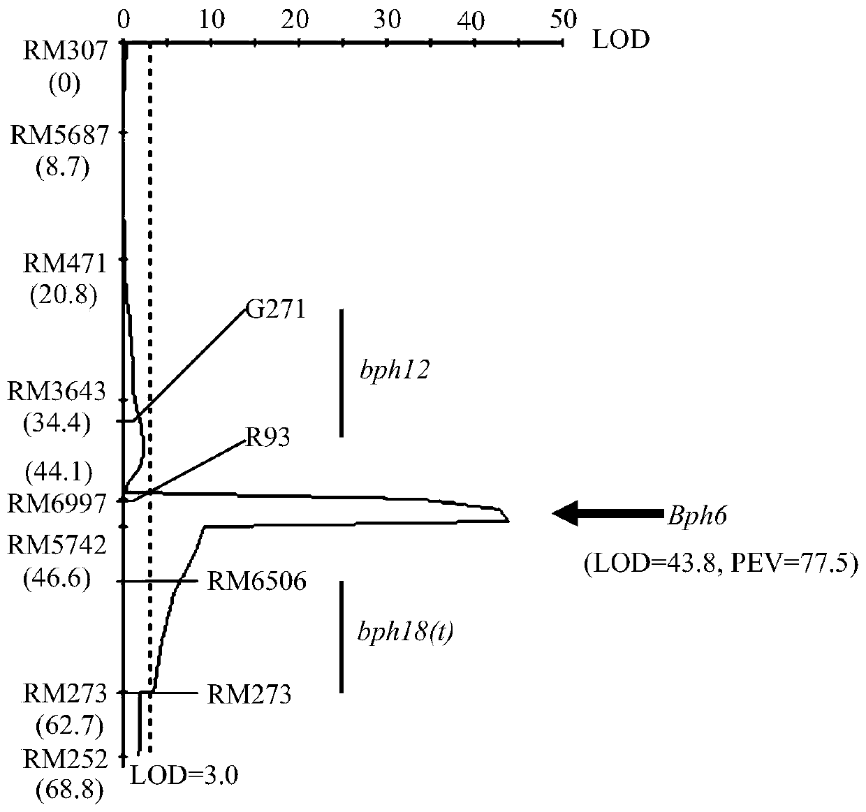 Rice brown planthopper resistance gene bph6 and its closely linked molecular markers