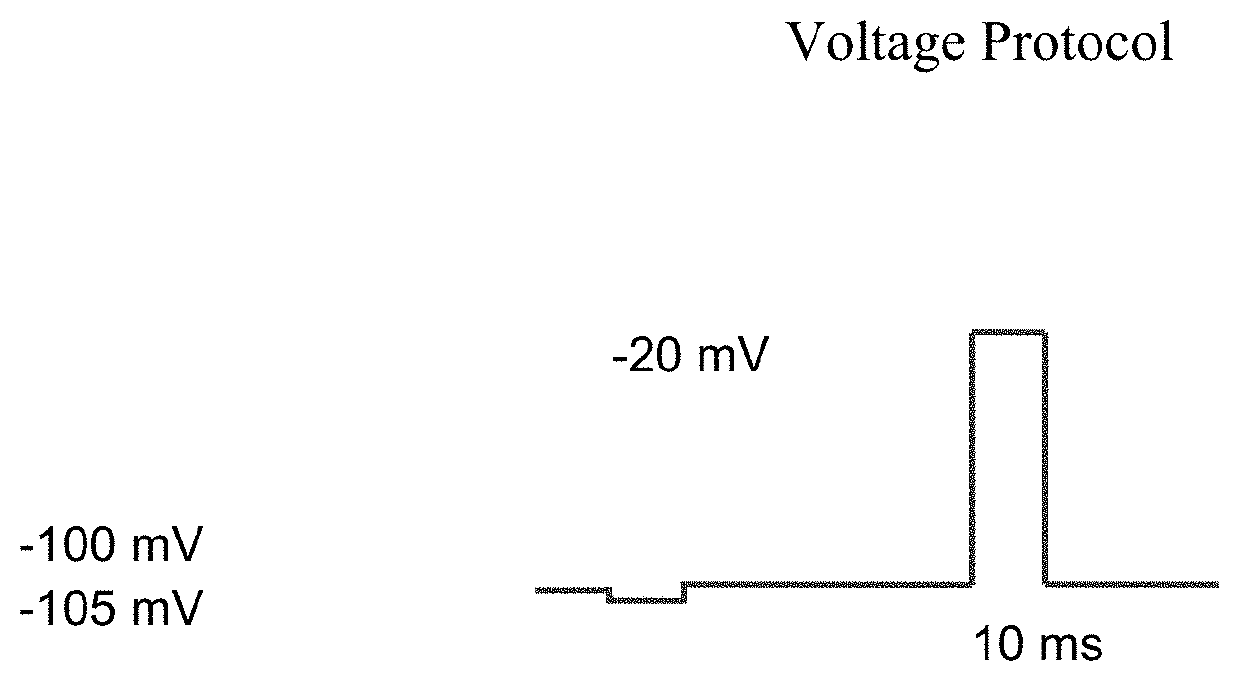 Charged ion channel blockers and methods for use