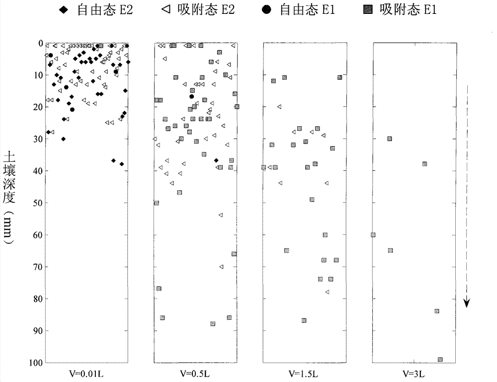 Method for representing 17beta-estradiol soil column leaching process