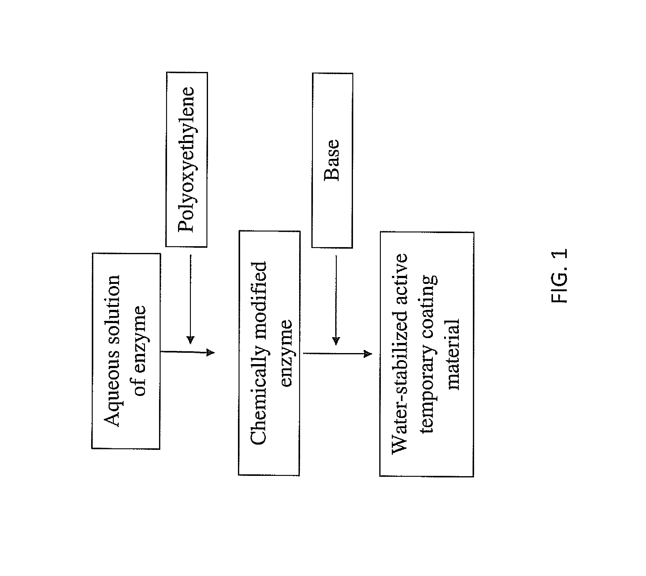 Coatings containing polymer modified enzyme for stable self-cleaning of organic stains