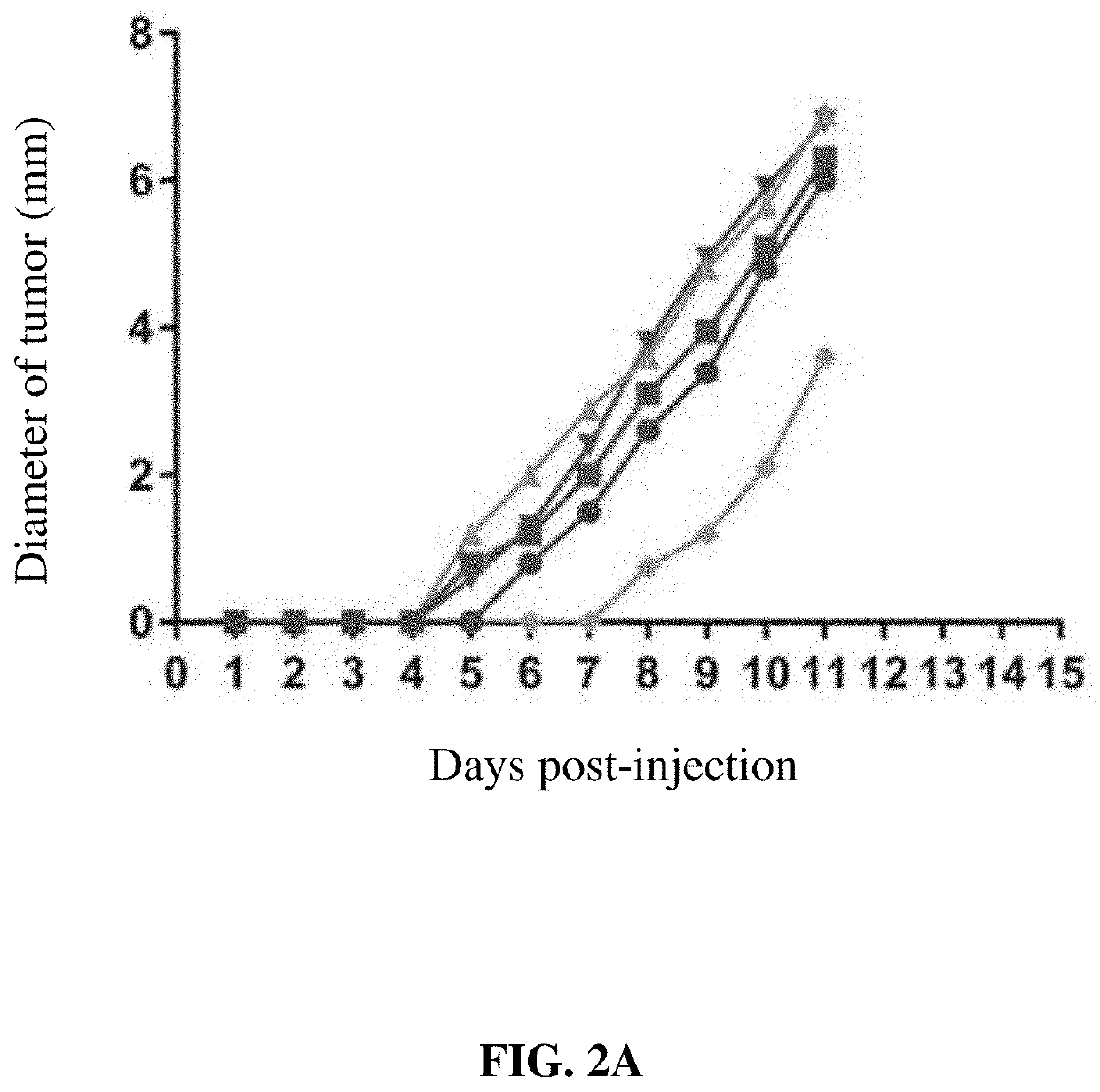 Conjugated virus-like particles and uses thereof as Anti-tumor immune redirectors