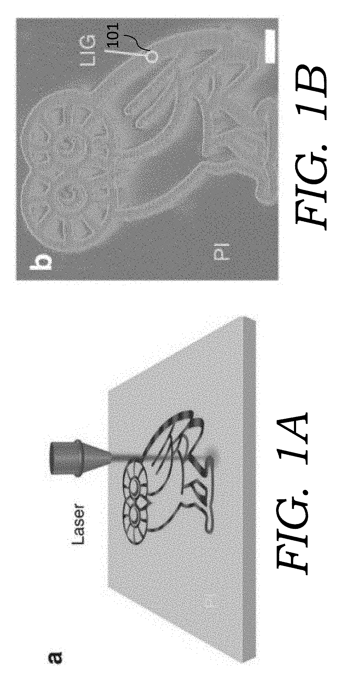 Three-dimensional (3D) printing of graphene materials