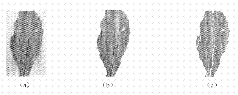 Method for characterizing color of characteristic tobacco by place of origin