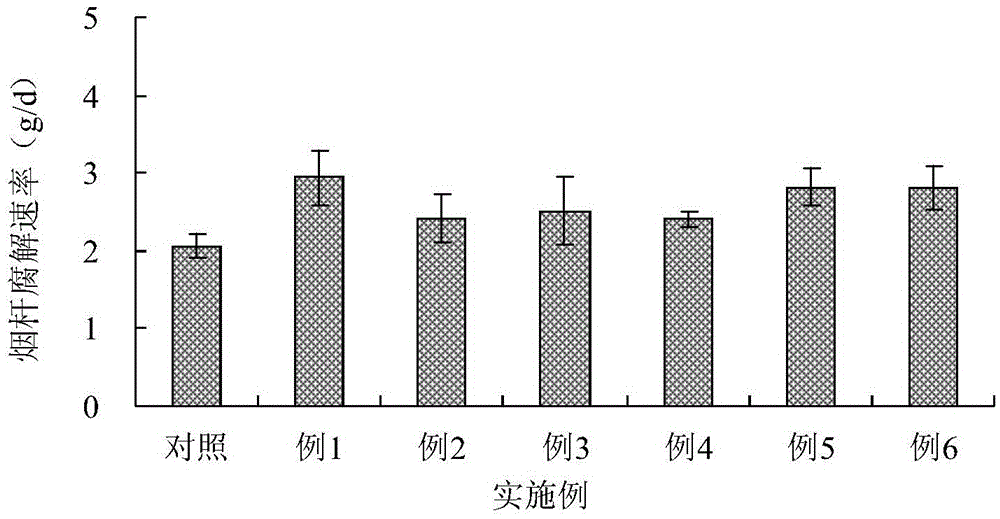 Tobacco-rice crop rotation system rice field soil improvement method