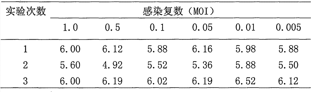 Human diploid cell rabies vaccine virus seed and preparation method thereof