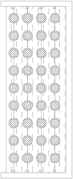 Individual marking method in echinoderm blup breeding process