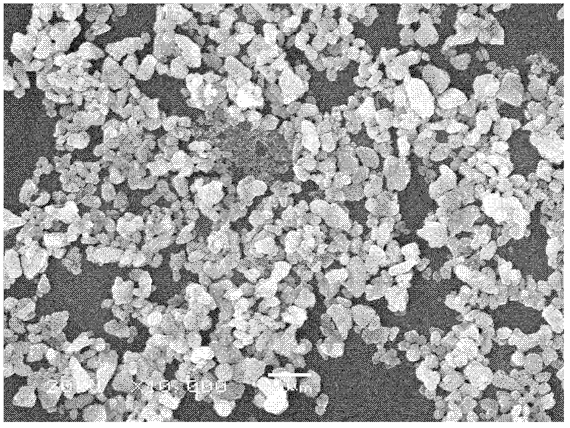 Gadolinium thulium vanadate/borate blue light-emitting material and preparation method thereof