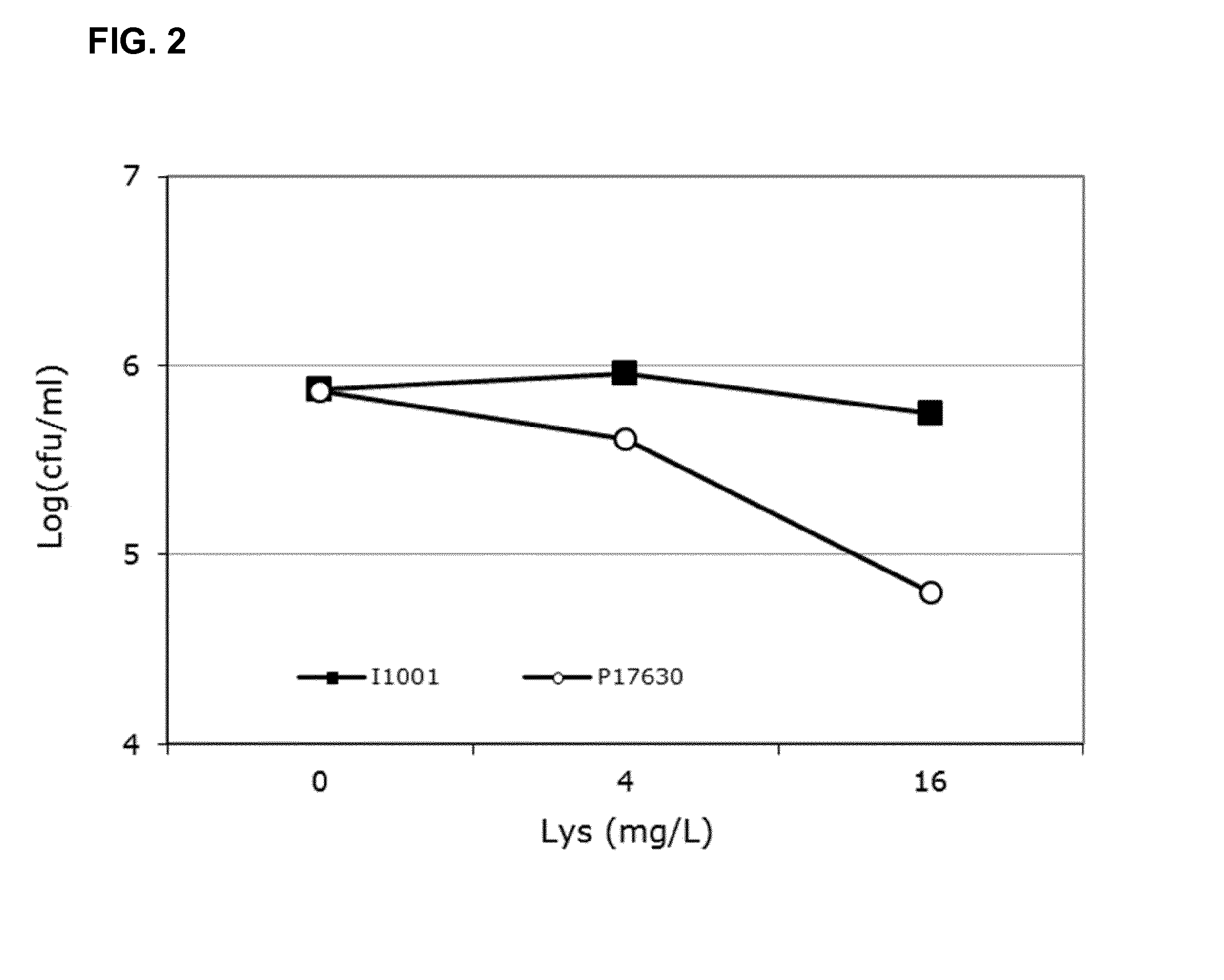 Strain of lactobacillus pentosus as probiotic