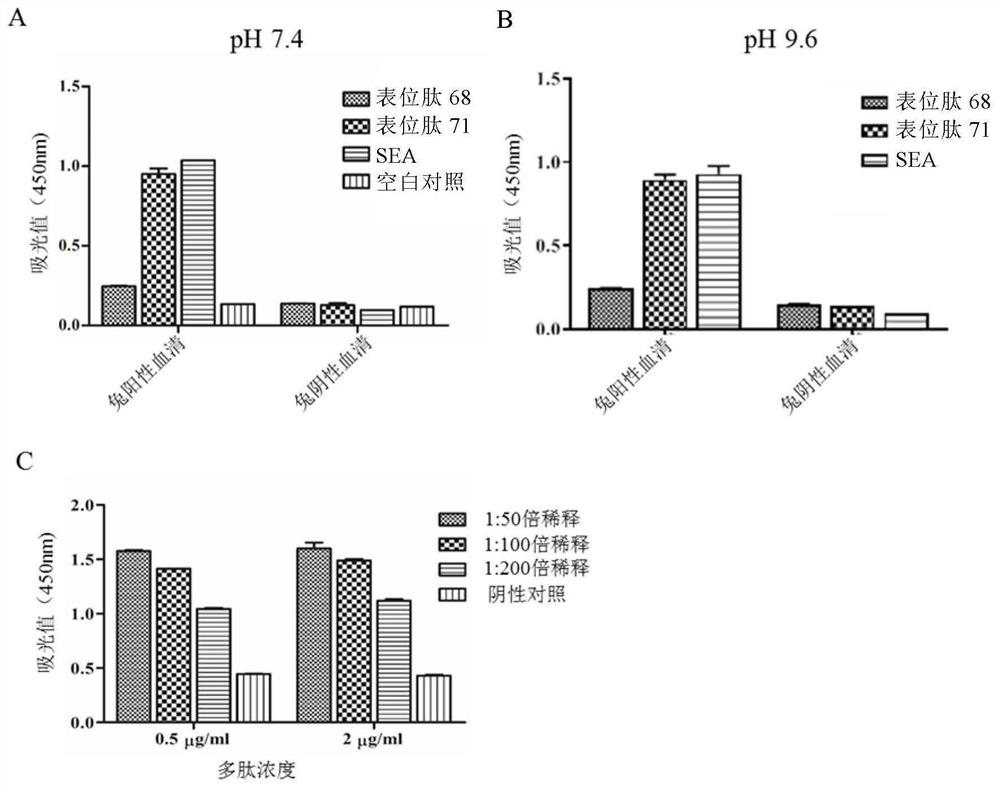 A Schistosoma japonicum immune epitope recombinant protein and its application