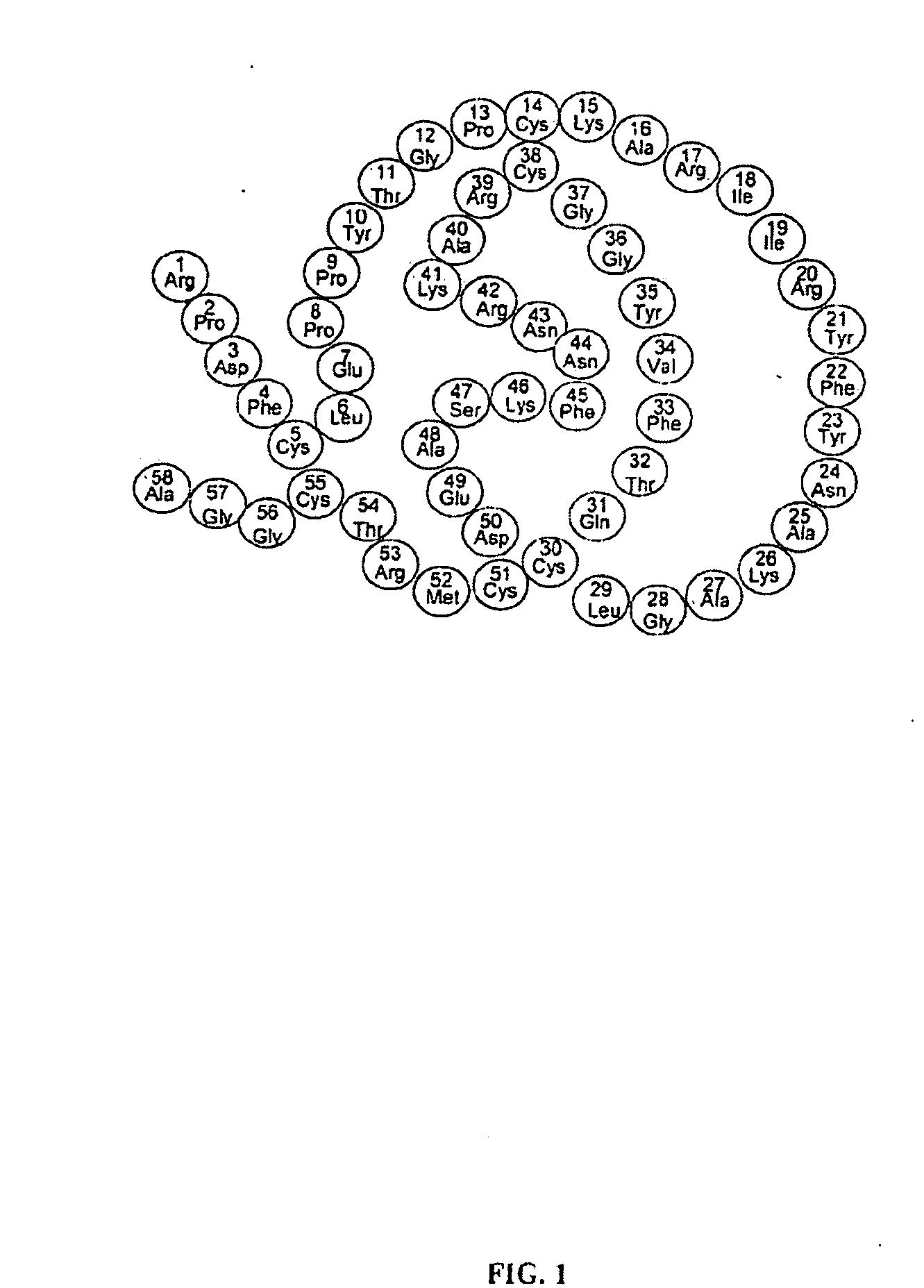 Novel Class of Therapeutic Protein Based Molecules