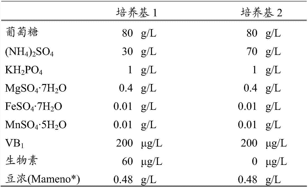 Method for Producing L-Amino Acid of Glutamate Family